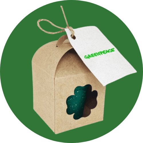 Kits Personalizados para Plantar