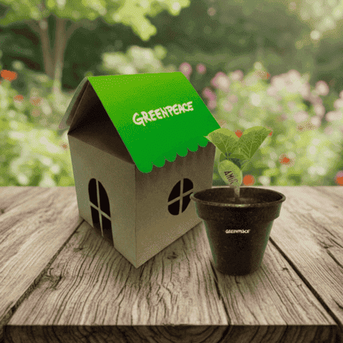 Kit Casinha Semente Mágica