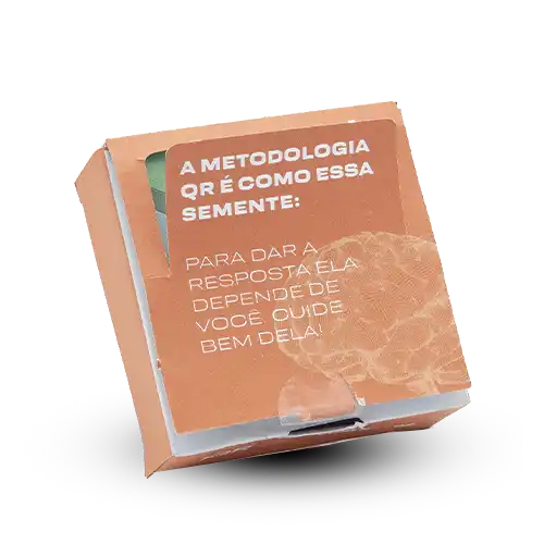 Caixinha Surpresa Semente Mágica 06