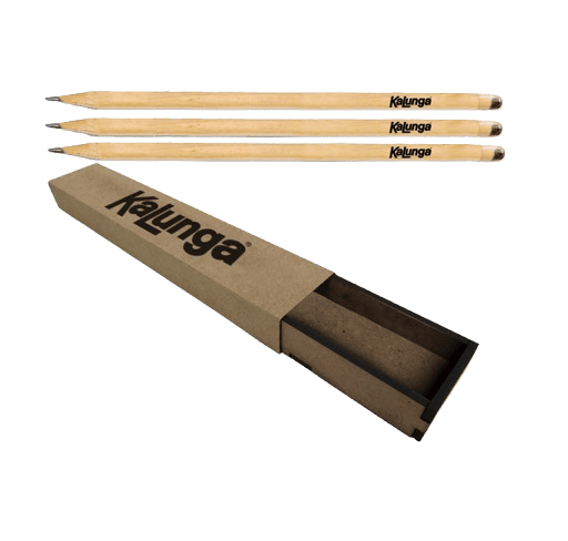 Caixa 3 Lápis Sementes