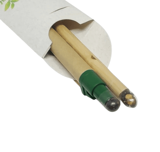 Kit Caneta e Lápis Semente Envelope