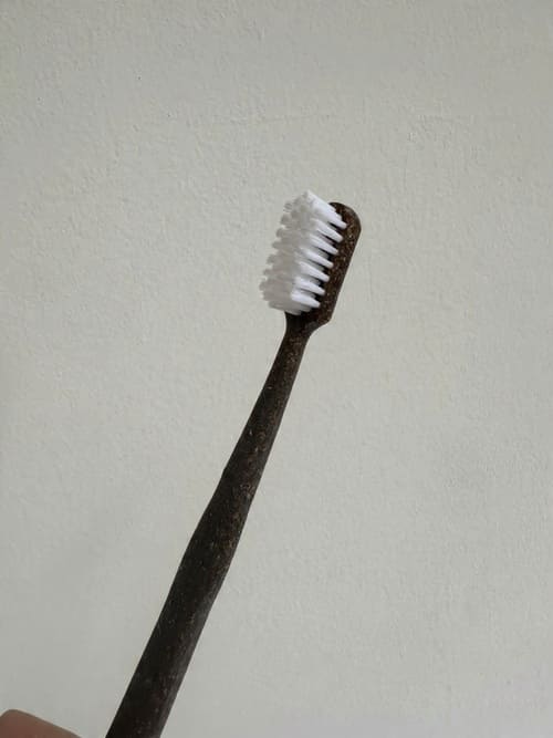 Escova de Dente Ecológica Coco