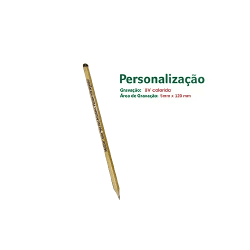 Kit Lápis Semente e Caneta Capa Cortiça