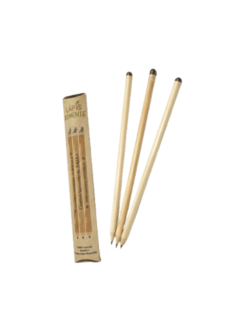 Conjunto 3 lápis sementes