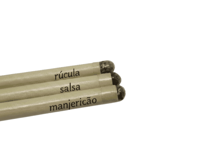 Conjunto 3 lápis sementes