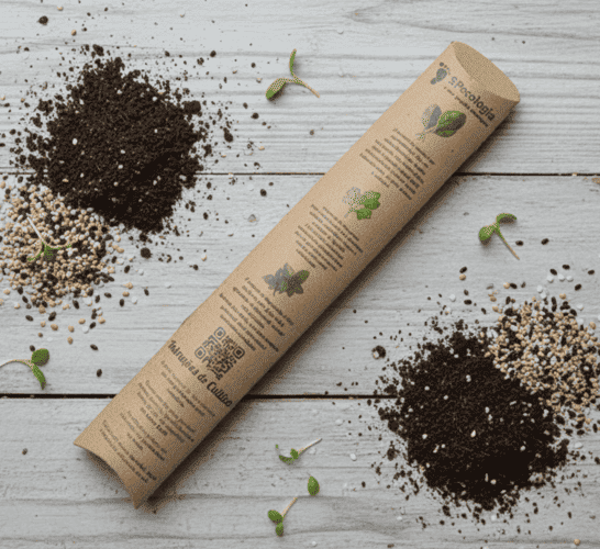 Conjunto 3 lápis sementes