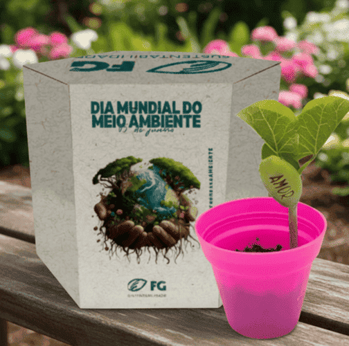 Kit Cultivo Sextavado Mágico