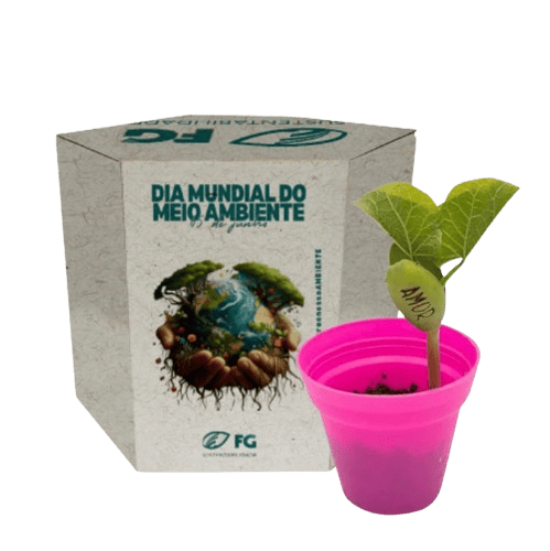 Kit Cultivo Sextavado Mágico