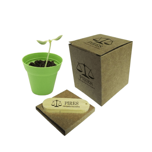 Kit Ecobox Executivo