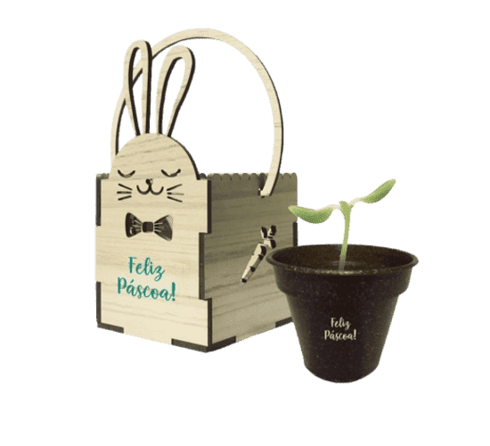 Kit Cultivo Páscoa
