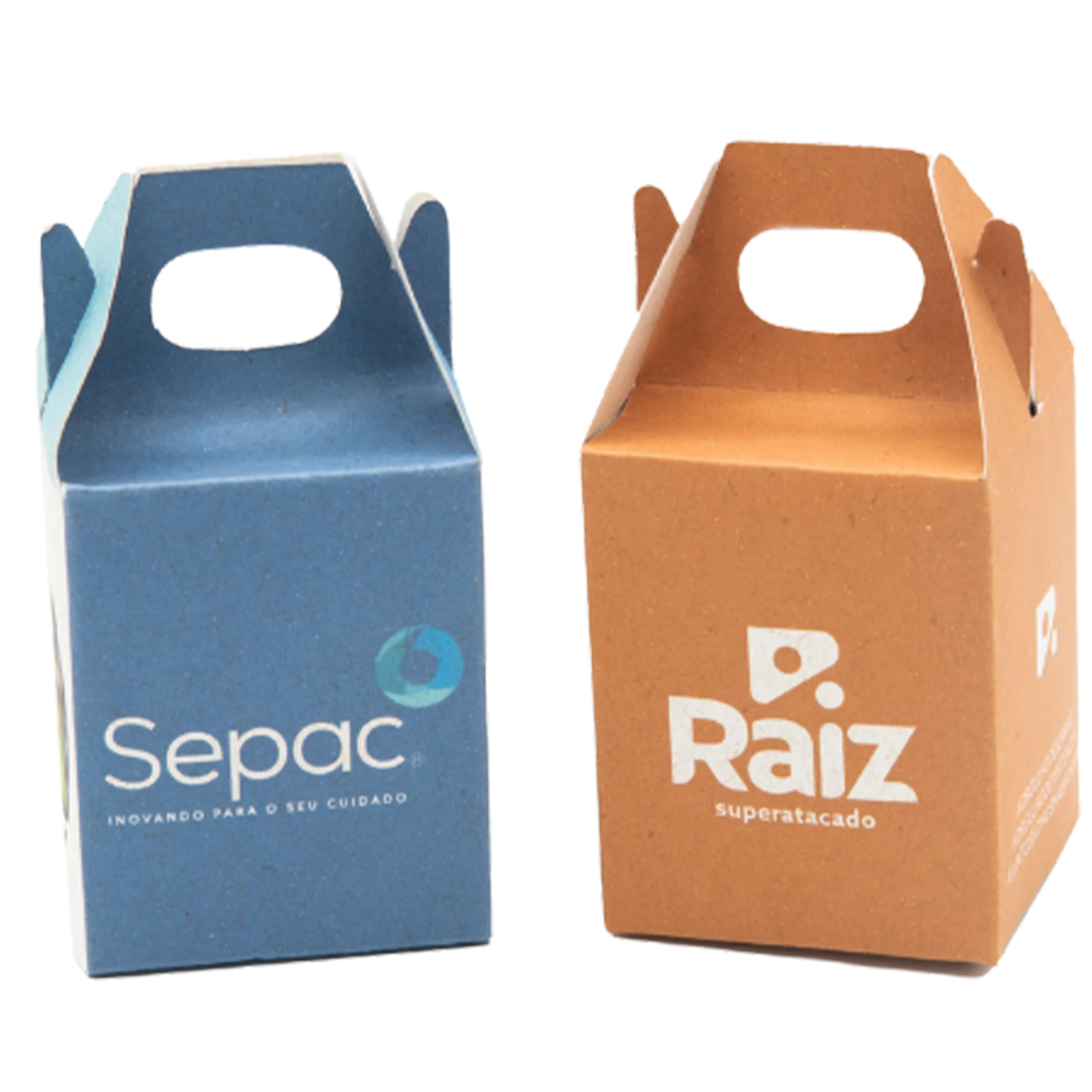 Kit Semente Mágica 013