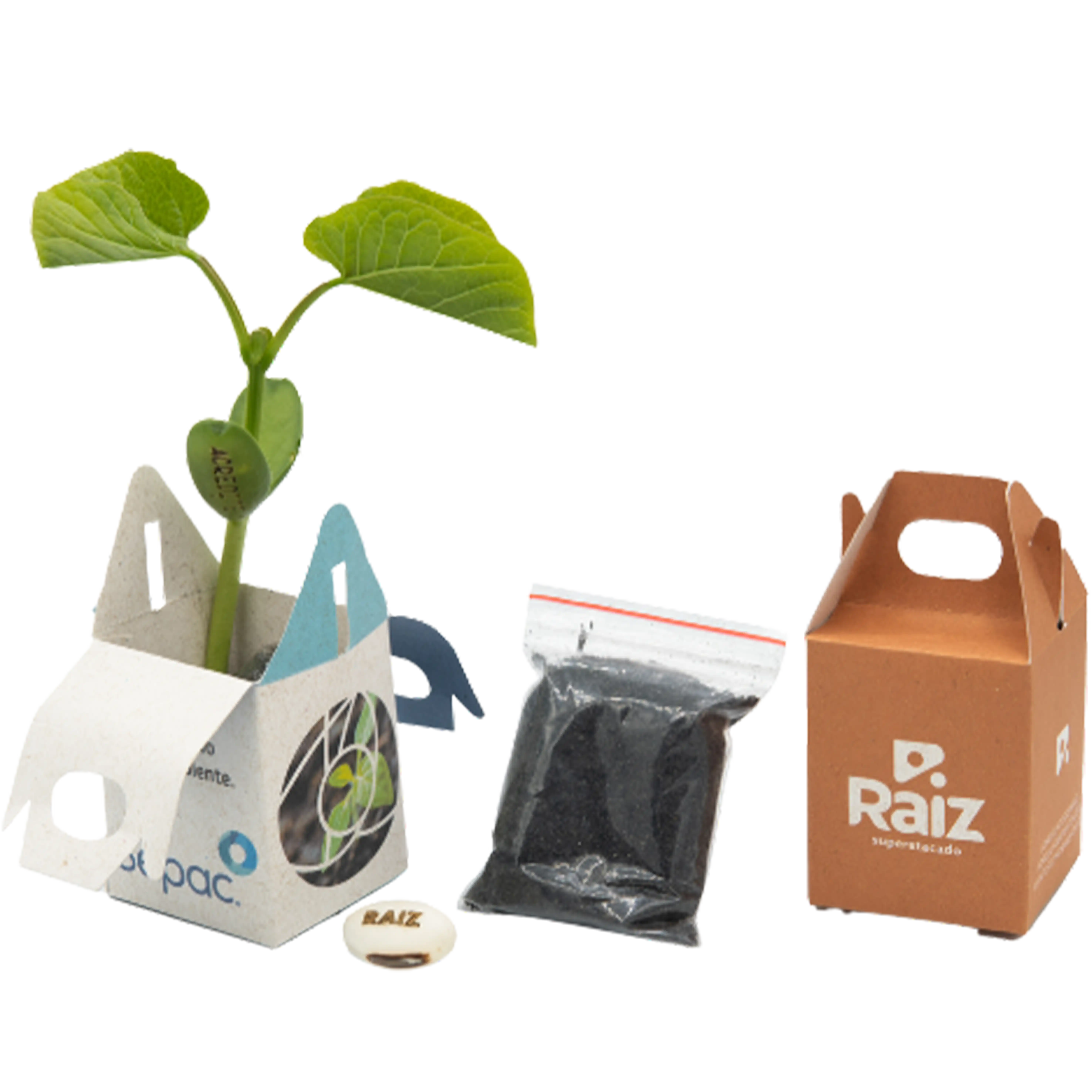 Kit Semente Mágica 013