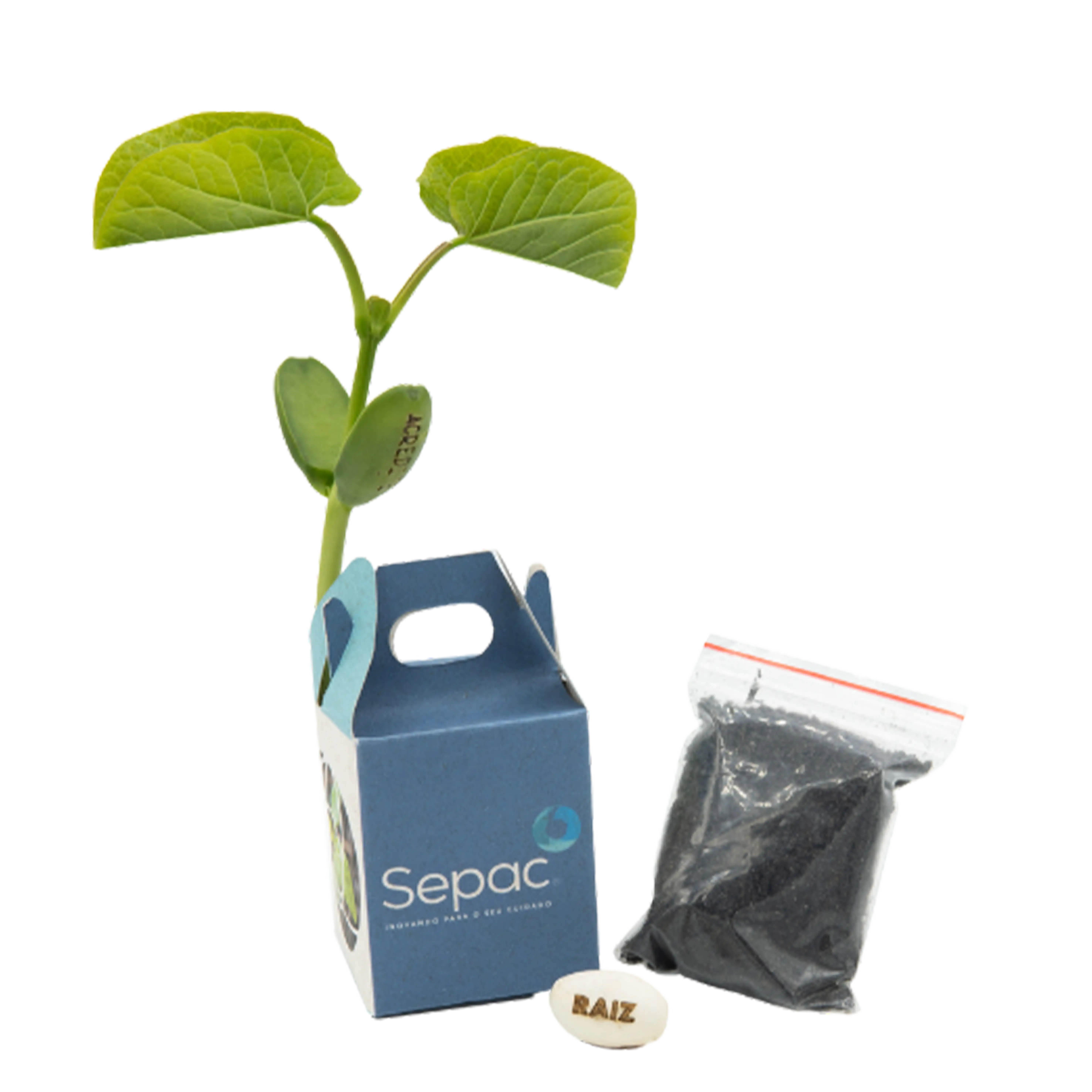 Kit Semente Mágica 013