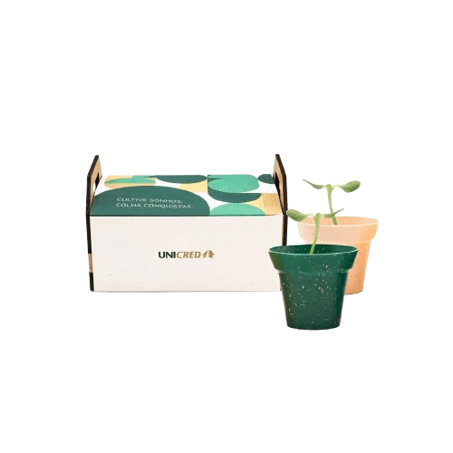 Kit Horta Personalizado