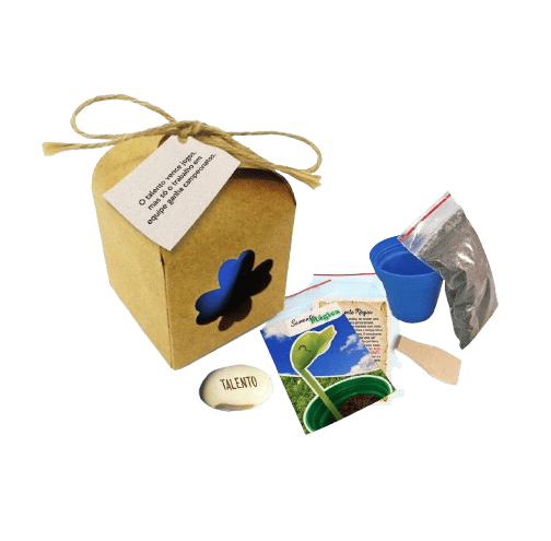 Kit Semente Mágica