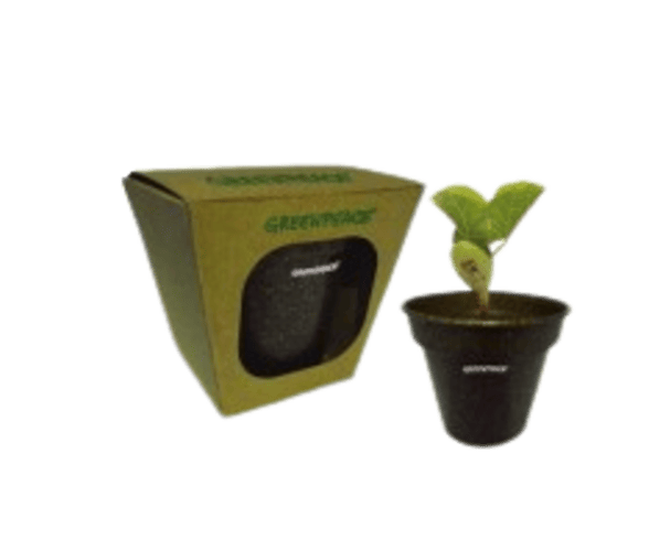 Kit Plantio Fibra com Semente Mágica