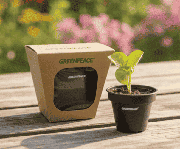 Kit Plantio Fibra com Semente Mágica