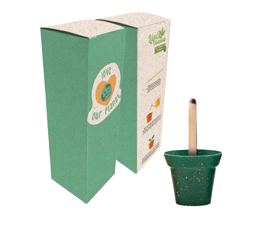 Lápis Semente Cultivo 721