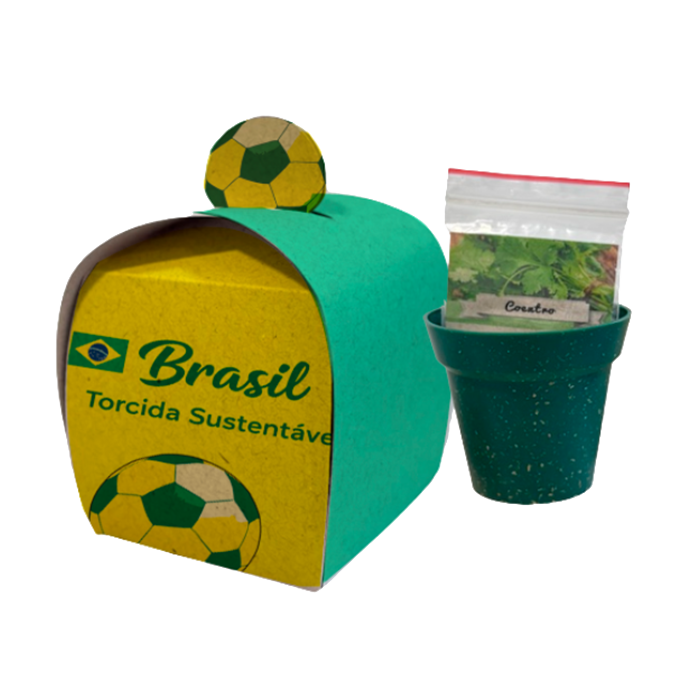 Kit Plantio Copa do Mundo