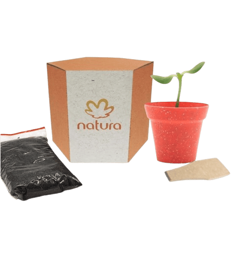 Kit Cultivo Sextavado