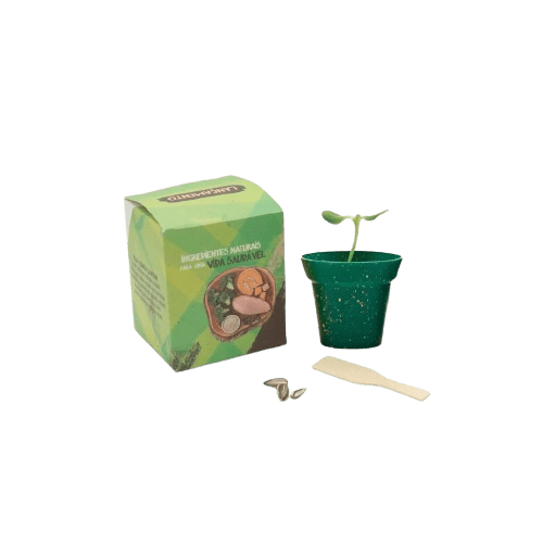 Kit Cultivo Ecobox