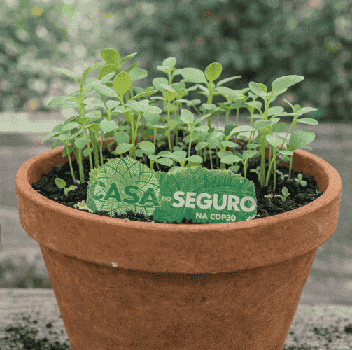 Leque de Papel Semente