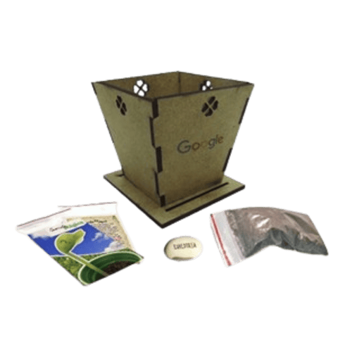 Vaso Eco MDF Semente Mágica