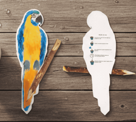 Papel semente animais