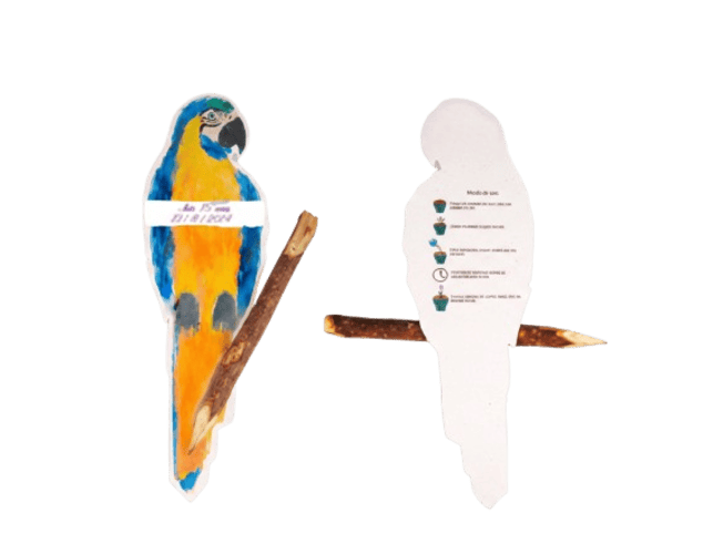 Papel semente animais