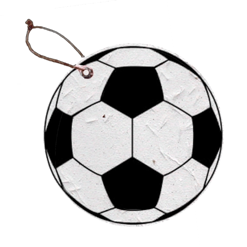 Bola de Futebol em Papel Semente Copa