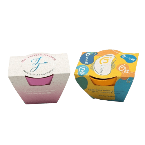 Kit Plantio Semente Mágica 241