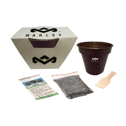 Kit Plantio Vaso de Fibra