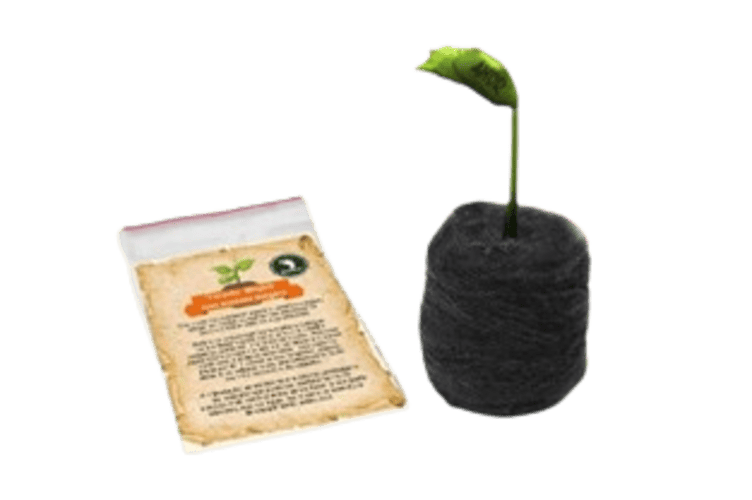 Vaso Mágico com Semente Mágica