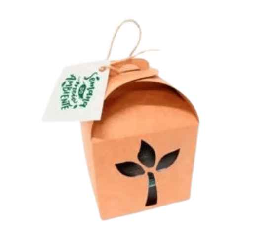 Kit Kraft com Sementes