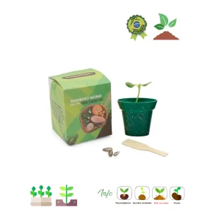 #522 - Kit Ecobox Cultivo 522